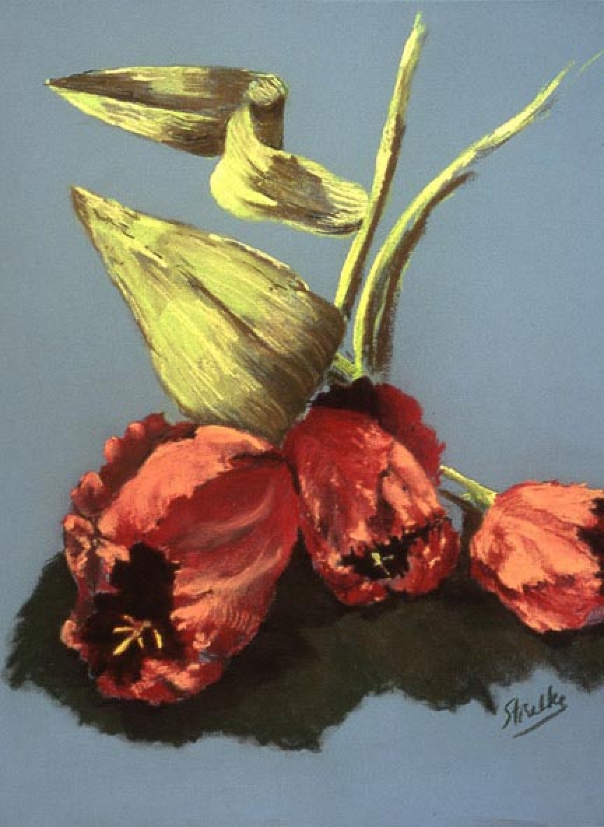 gallery/images-artwork-Still_Life-tulips1