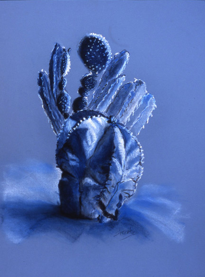 gallery/images-artwork-Still_Life-cactus_garden_study_blue