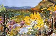 Sabino Autumn Revisited, watercolor by Barbara Strelke